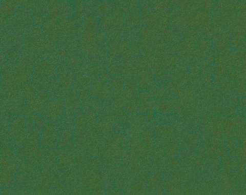 Foto de Fieltro para trabajos manuales de 2mm en formato Din A4. Color verde (128260)